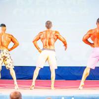 Открытый Чемпионат Черноземья по бодибилдингу IFBB «КУРСКИЕ СОЛОВЬИ-4» (Фото №0028)