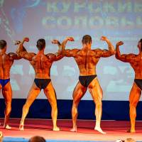 Открытый Чемпионат Черноземья по бодибилдингу IFBB «КУРСКИЕ СОЛОВЬИ-4» (Фото №0034)