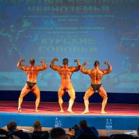 Открытый Чемпионат Черноземья по бодибилдингу IFBB «КУРСКИЕ СОЛОВЬИ-4» (Фото №0202)