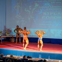 Открытый Чемпионат Черноземья по бодибилдингу IFBB «КУРСКИЕ СОЛОВЬИ-4» (Фото №0216)